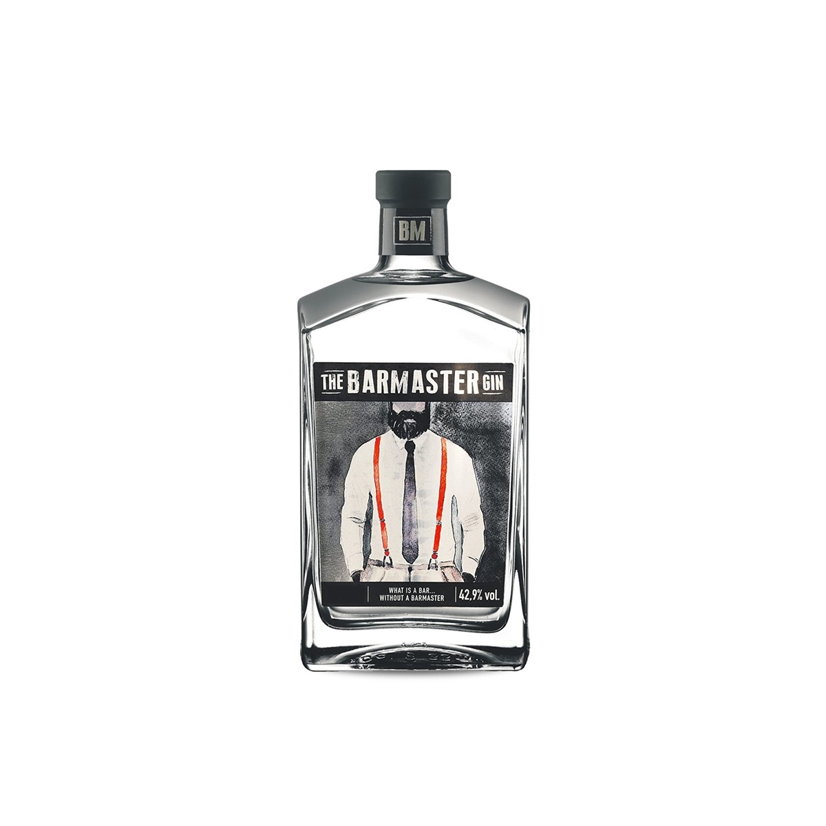 GIN BARMASTER 42,9° CL 70 GIN BARMASTER 42,9° CL 70